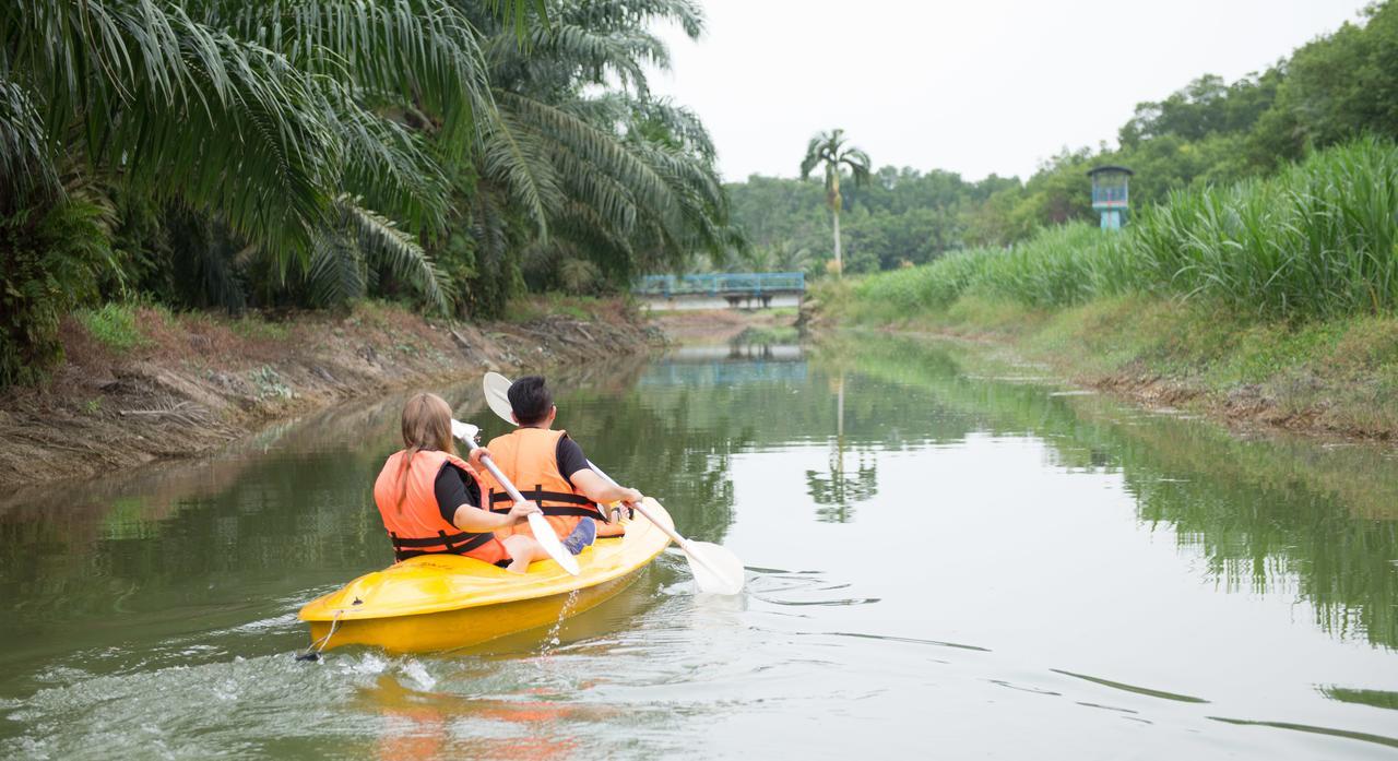 Sinar Eco Resort Kampong Bukit Panjang Buitenkant foto